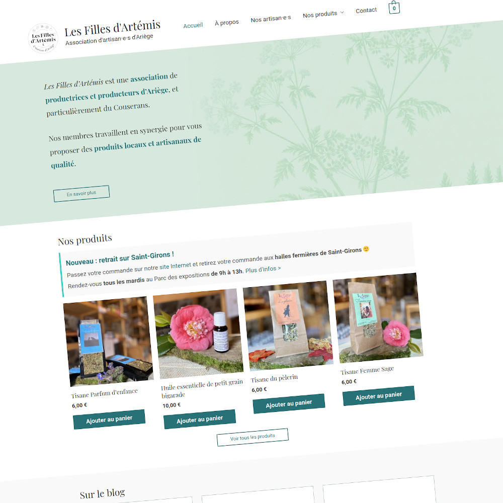 Les Filles d'Artémis : Création du site Internet e-commerce